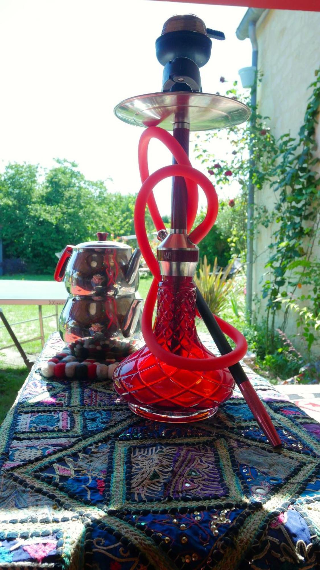 Les Jardins D'Ispahan Prignac-et-Marcamps Buitenkant foto